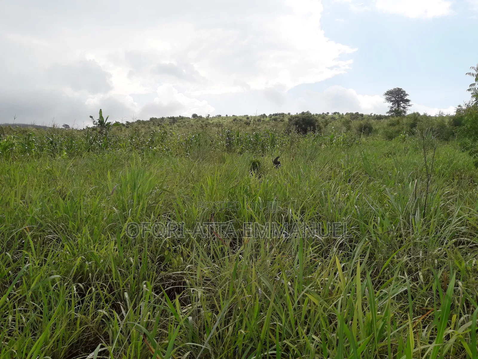 3 Plot for Sale at Akosobo