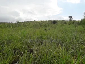 3 Plot for Sale at Akosobo