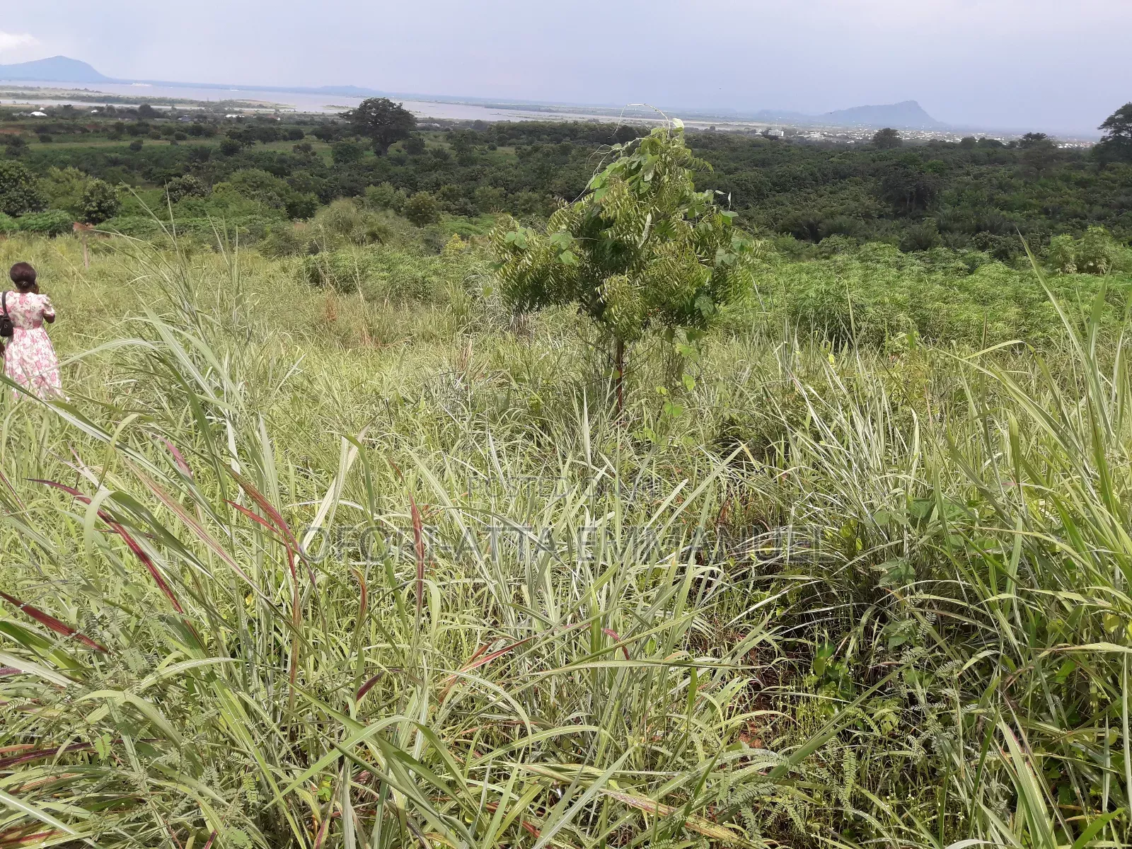 3 Plot for Sale at Akosobo