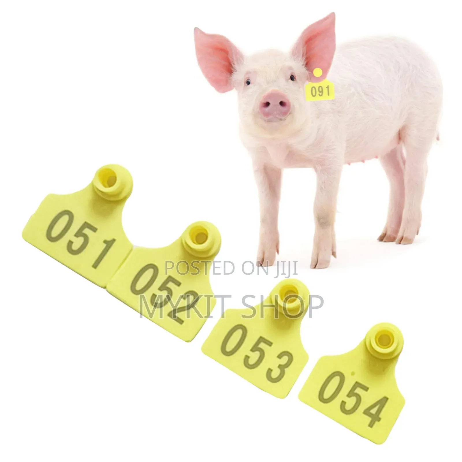 Animals Ear Tag