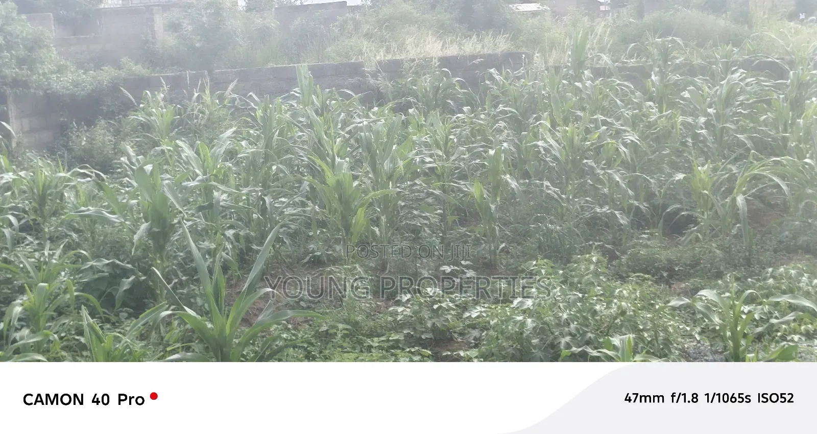 One Plot of Land for Sale Amasaman Danchira 90,000