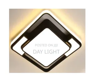 New Decor Ceiling Light