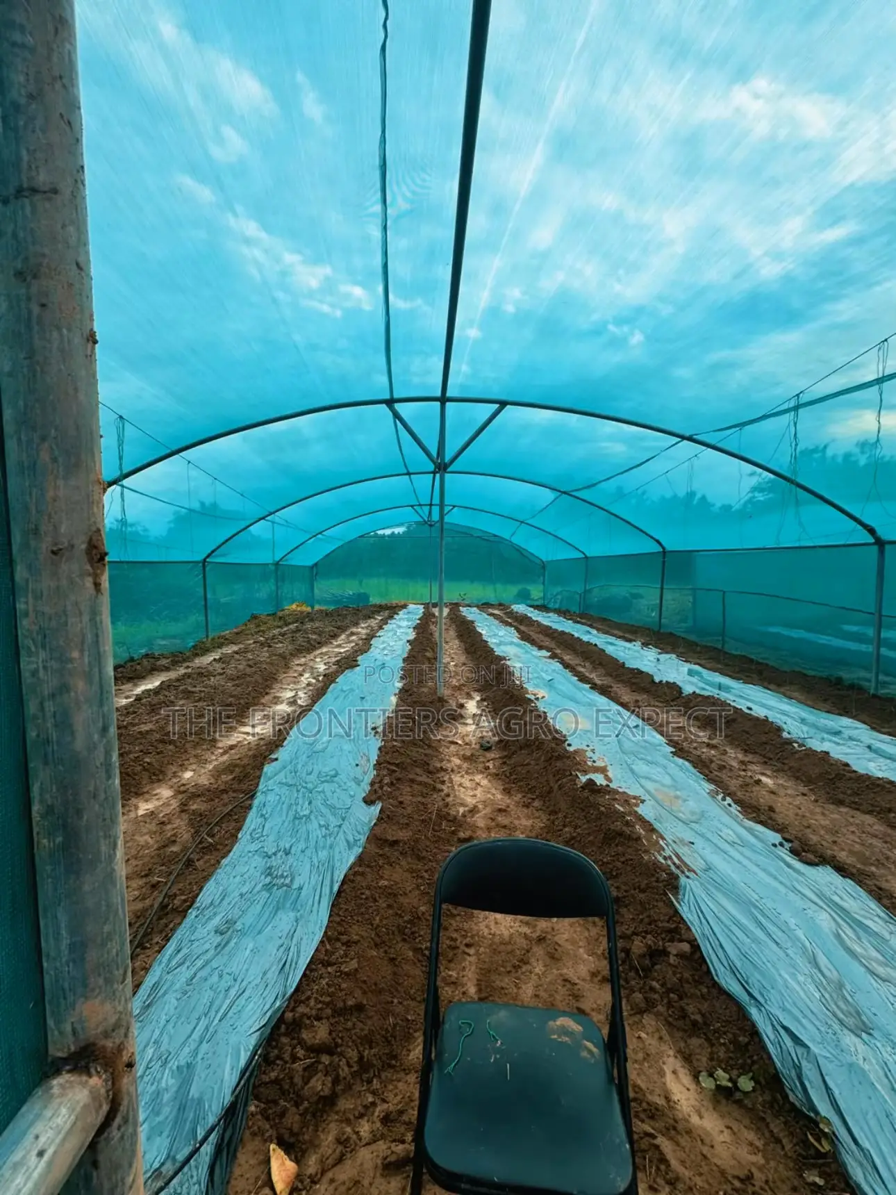 Greenhouse Farm