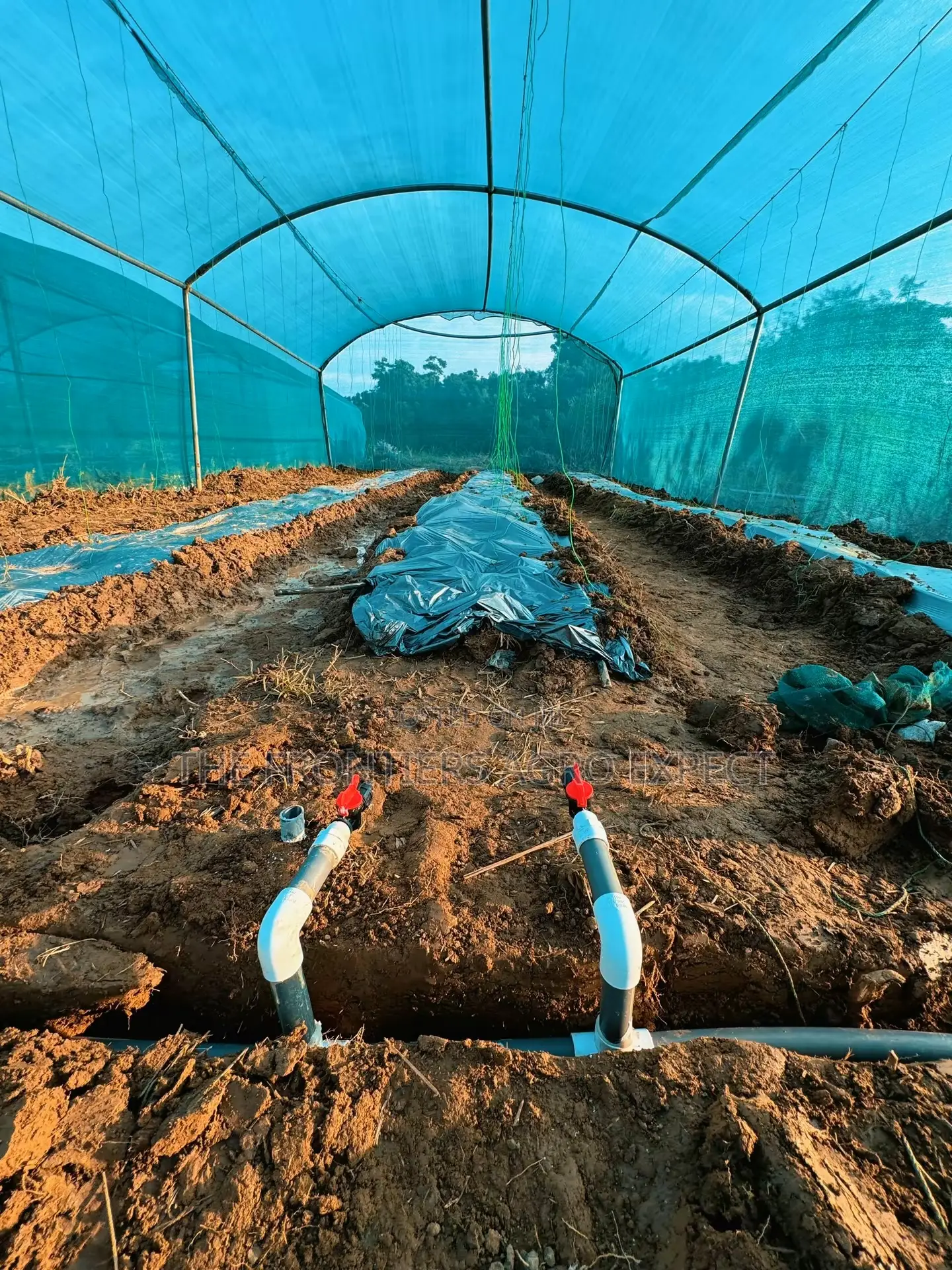 Greenhouse Farm