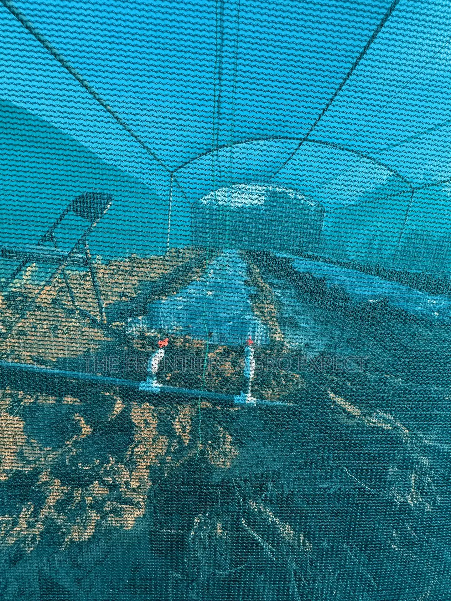 Greenhouse Farm