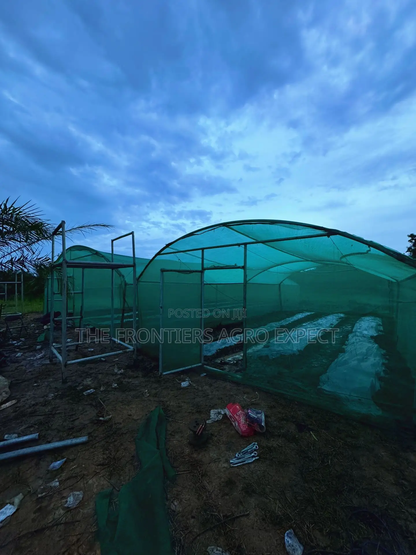 Greenhouse Farm