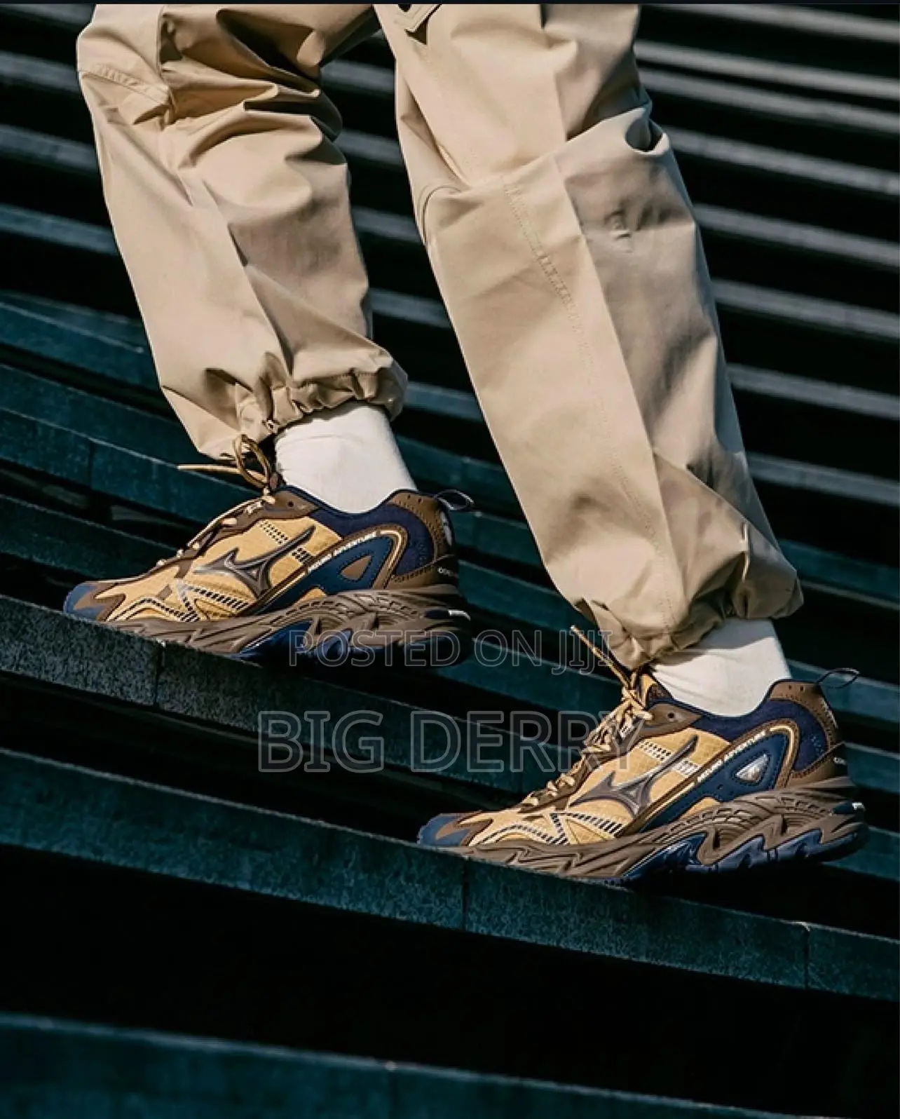 Mizuno Adventure