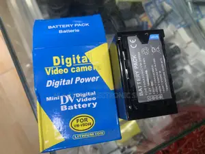 Battery Pack for Panasonic Vw-Vbd98