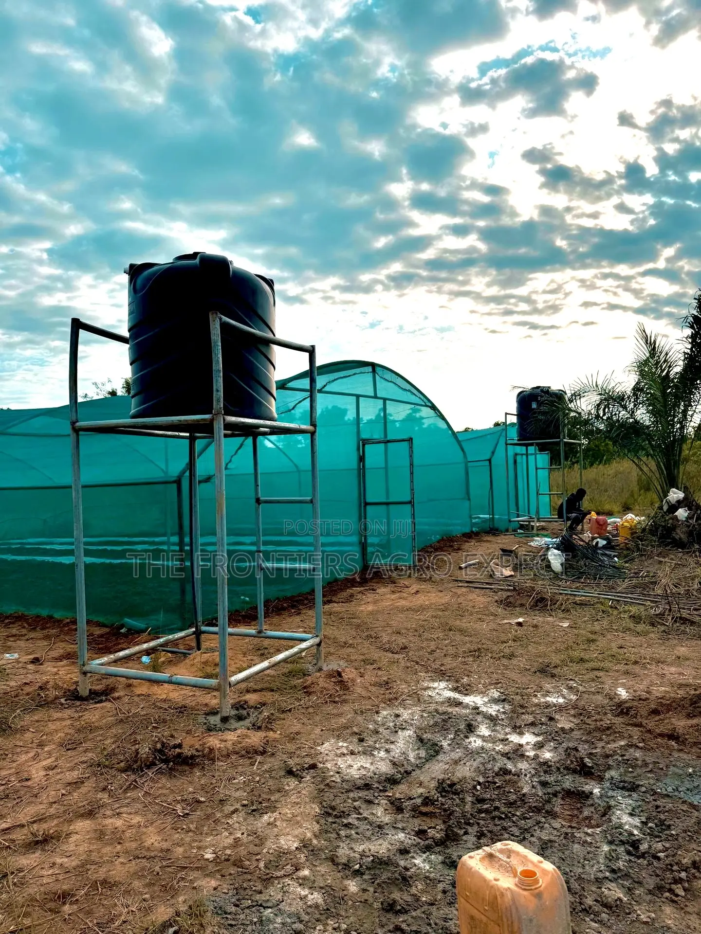 Greenhouse Farm