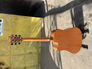 Stringberg Semi-Acoustic Guitar