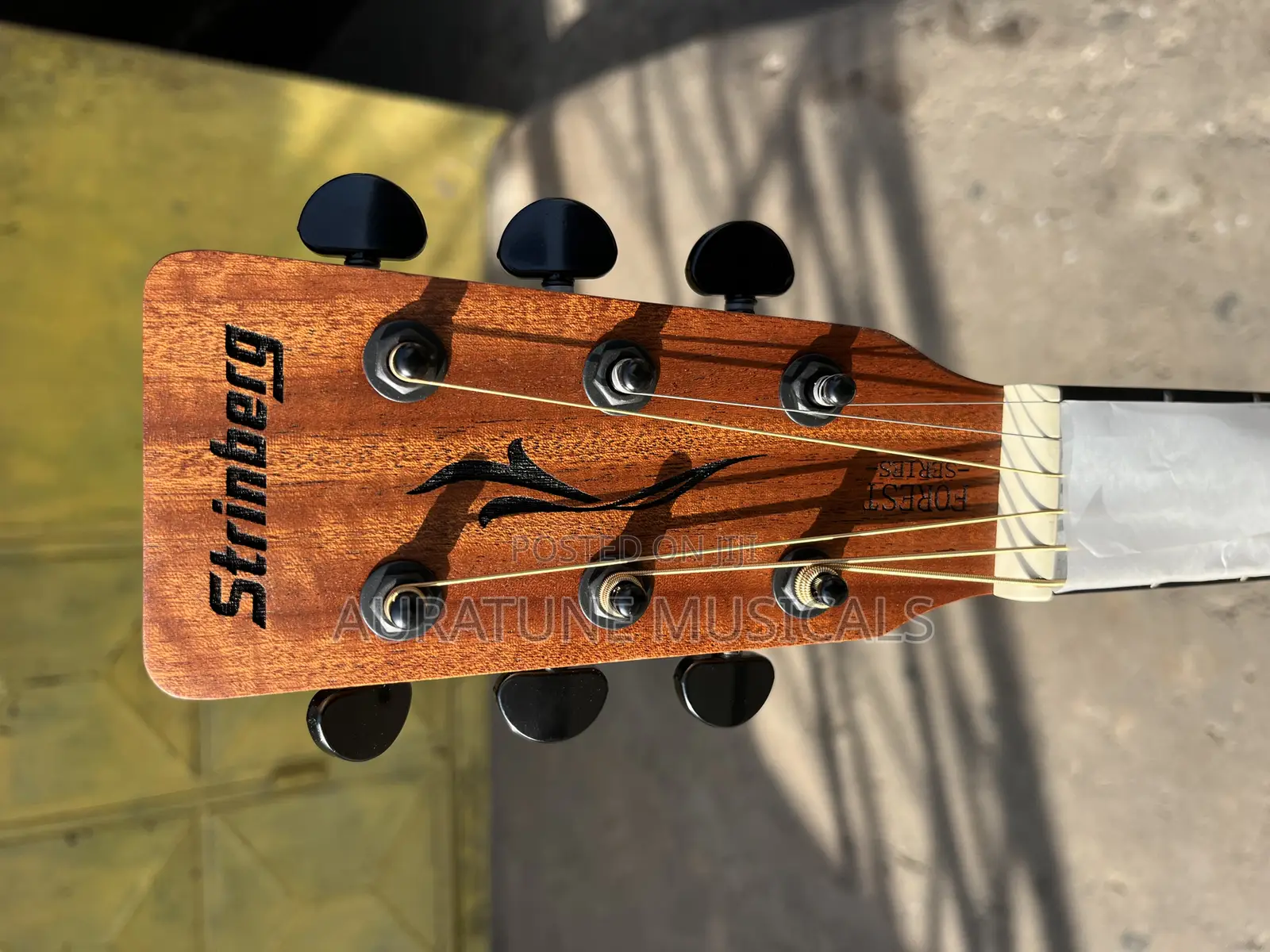 Stringberg Semi-Acoustic Guitar