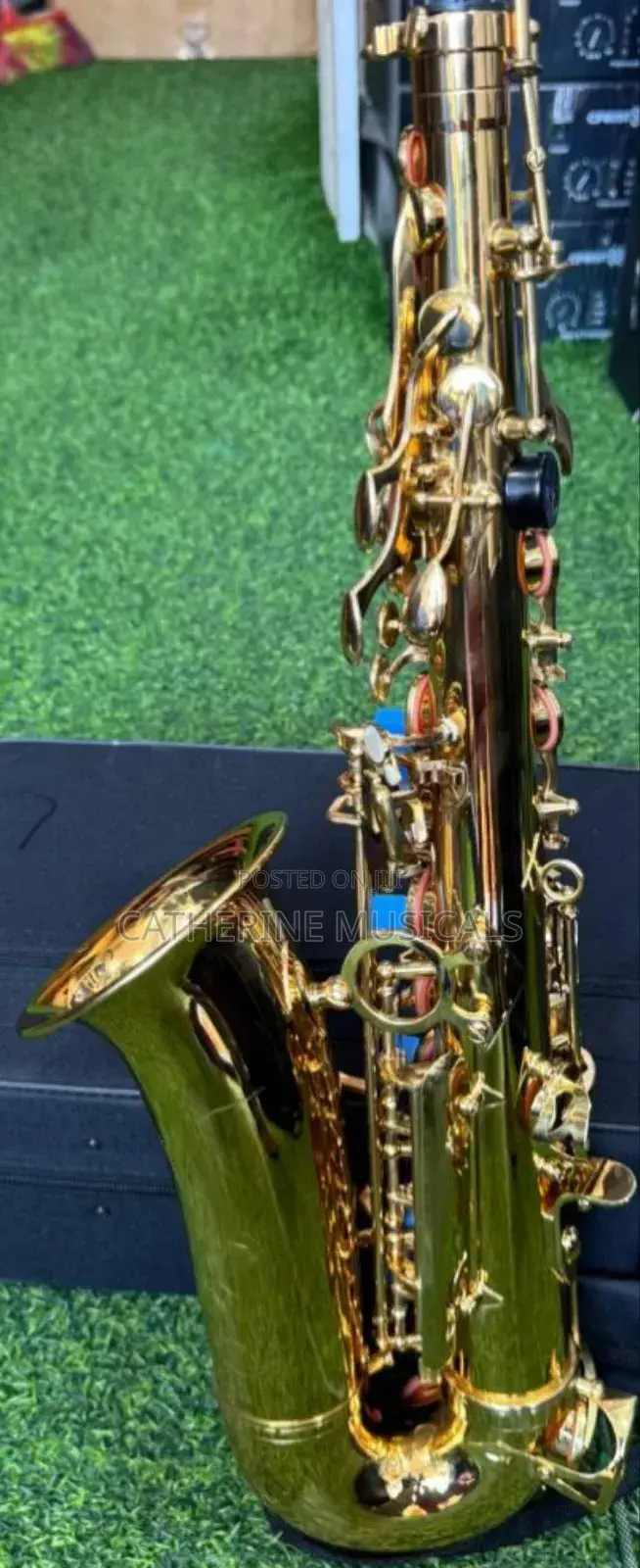 Alto Saxophone