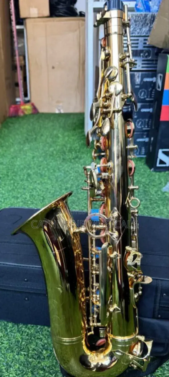 Alto Saxophone