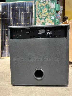 Peavey Bass Combo