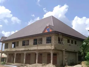 Are You Looking for a Professional Roofing Carpenter?