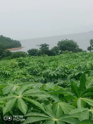 Riverfront Land for Long Lease