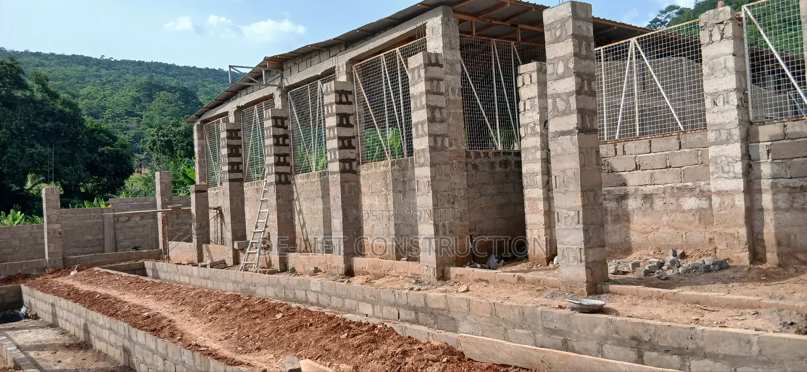 Are You Willing to Build a Modern Poultry Farm?