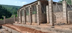Are You Willing to Build a Modern Poultry Farm?