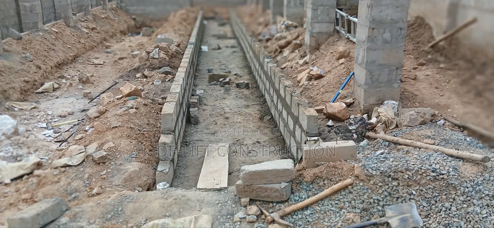 Are You Willing to Build a Modern Poultry Farm?