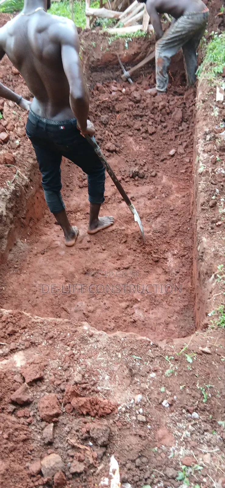 Are You Willing to Build a Modern Poultry Farm?