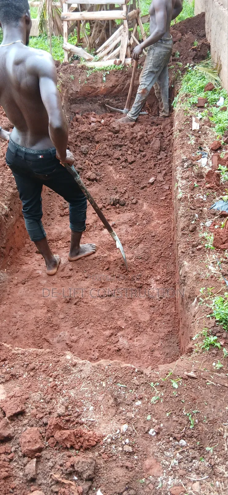 Are You Willing to Build a Modern Poultry Farm?