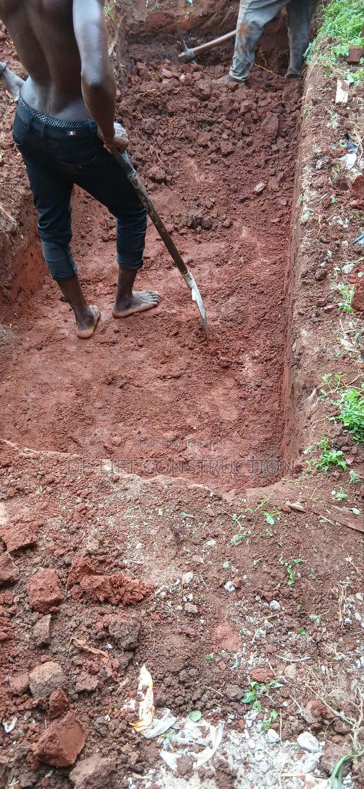 Are You Willing to Build a Modern Poultry Farm?