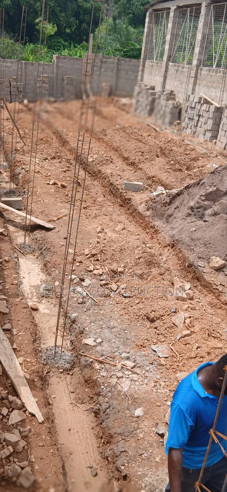 Are You Willing to Build a Modern Poultry Farm?