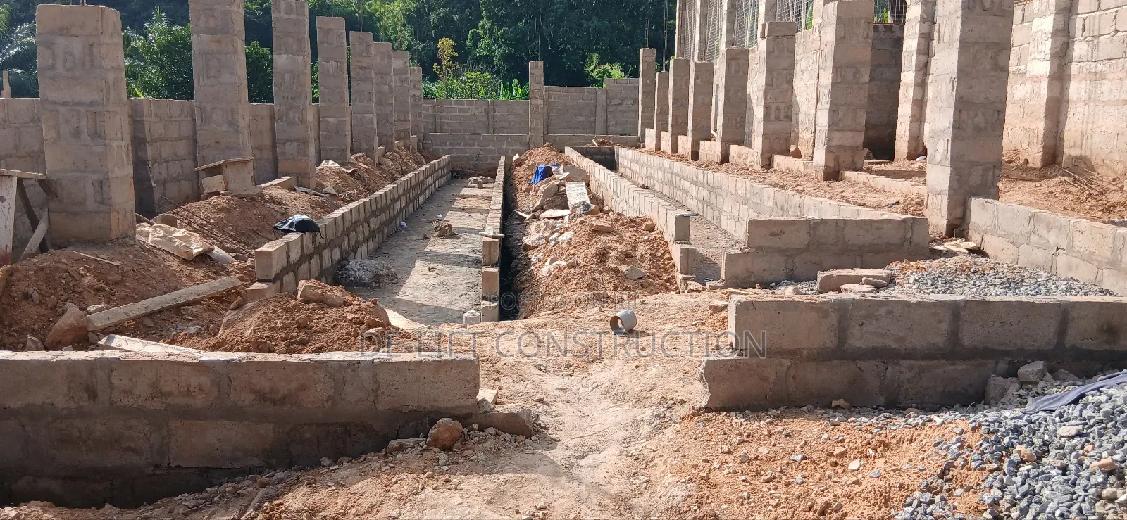 Are You Willing to Build a Modern Poultry Farm?
