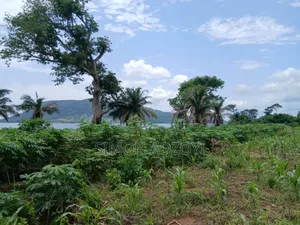 10 Acres of Land Close to Volta River for Sale