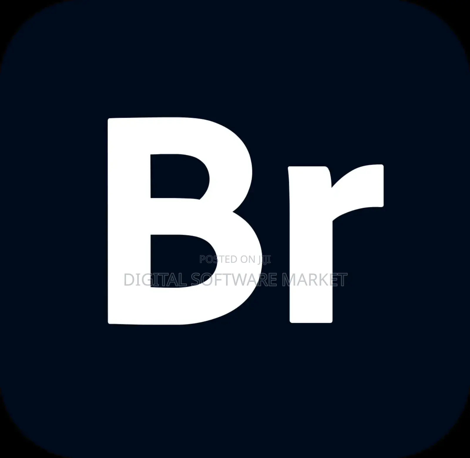 Adobe Bridge 2025 Windows or Mac Lifetime License