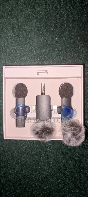 Professional 4 in 1 Wireless Microphone