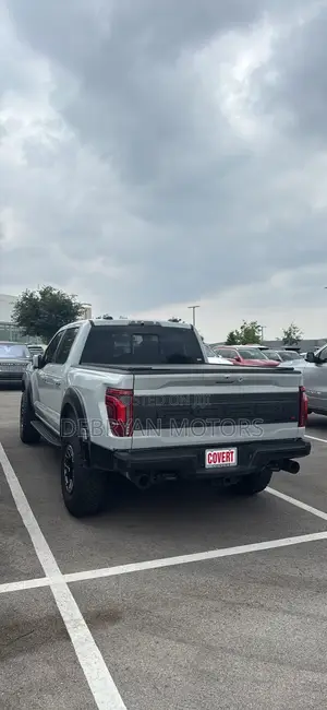 Ford F-150 Raptor 2024 Gray