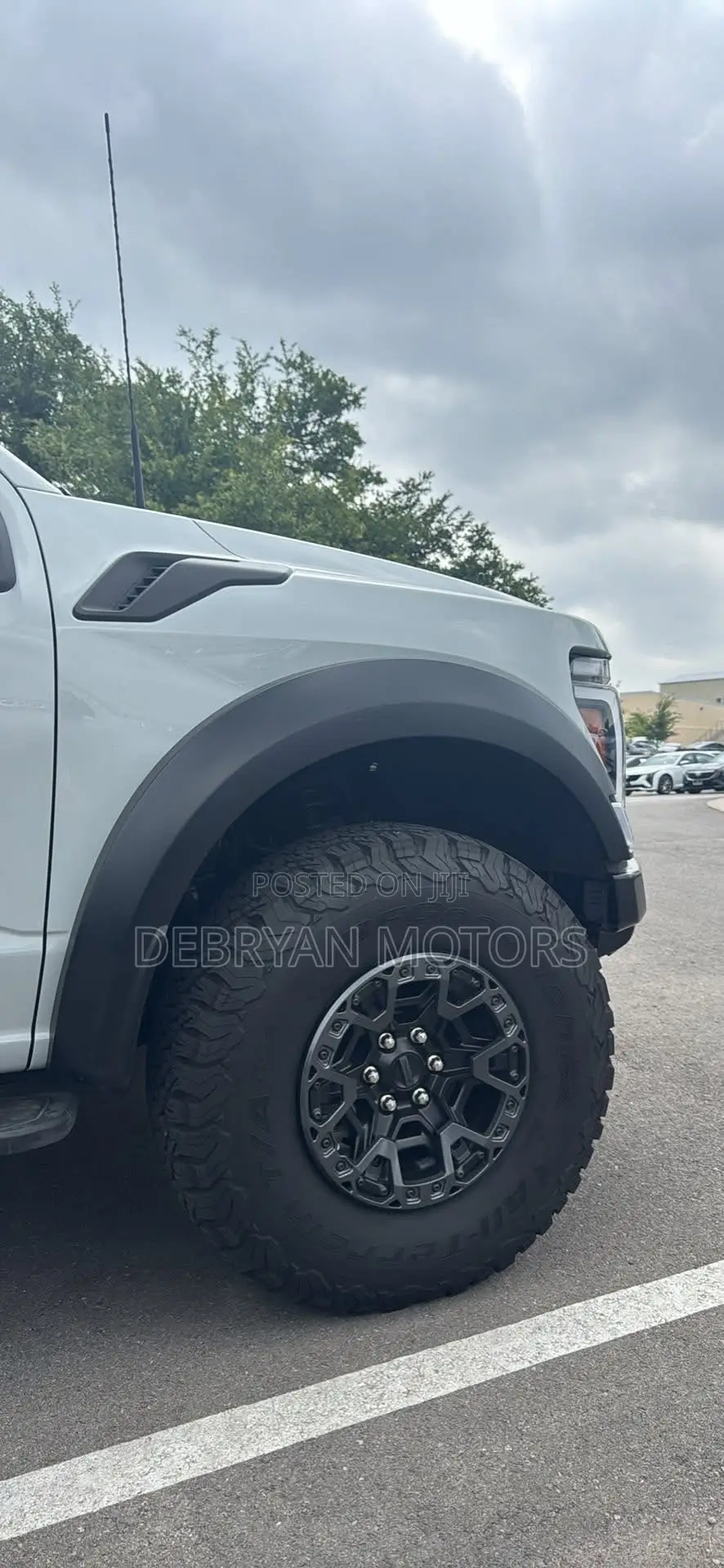 Ford F-150 Raptor 2024 Gray