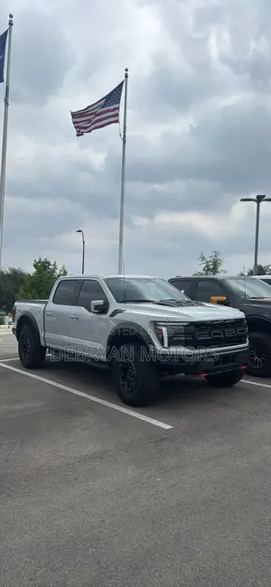 Ford F-150 Raptor 2024 Gray