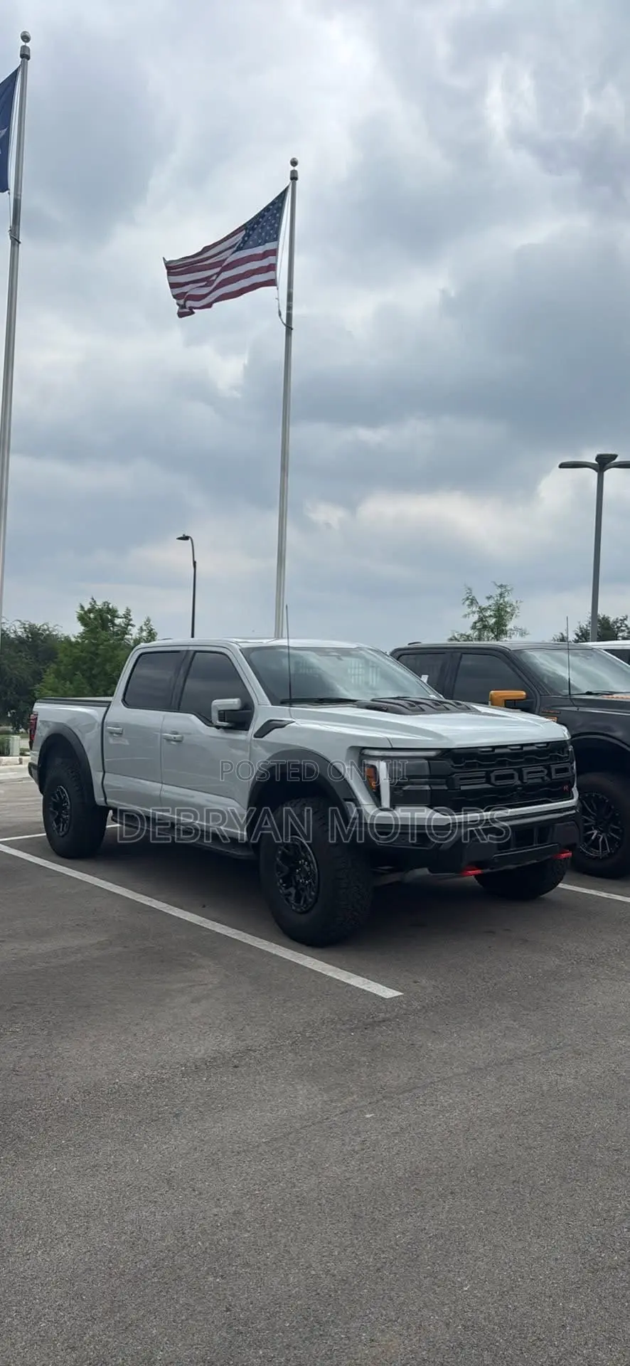 Ford F-150 Raptor 2024 Gray