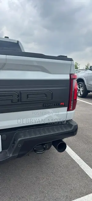 Ford F-150 Raptor 2024 Gray