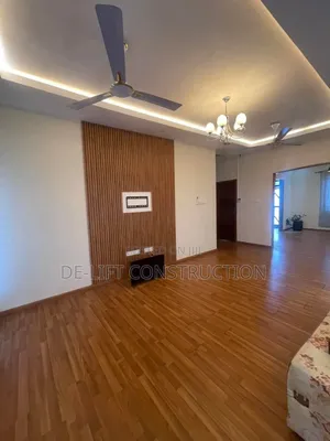Are You Looking for a Professional Painter?