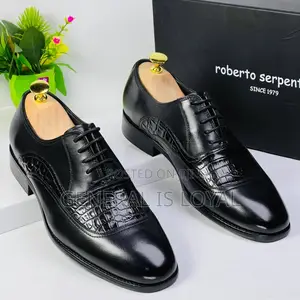 Roberto Serpentine Lace Shoe