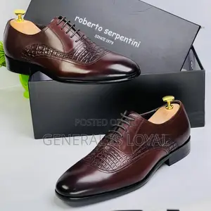 Roberto Serpentine Lace Shoe Coffee