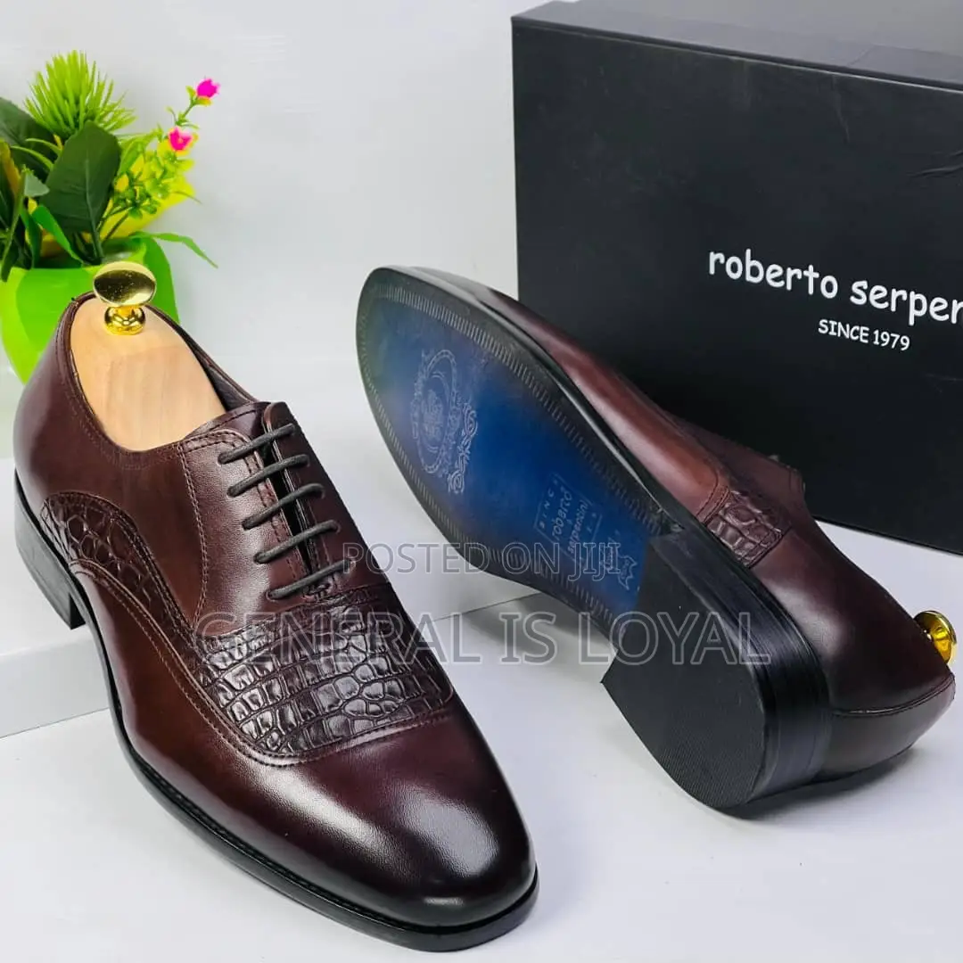 Roberto Serpentine Lace Shoe Coffee