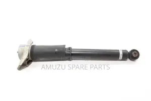 Mitsubishi Outlander 2022-2024 Back Shocks