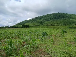 Registered 100 Plot of Land for Sale