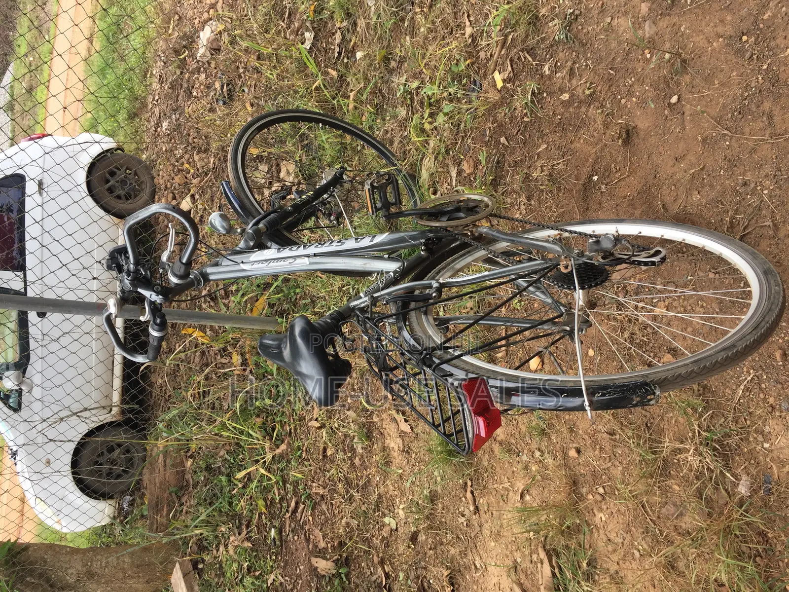 Adult Bicycle