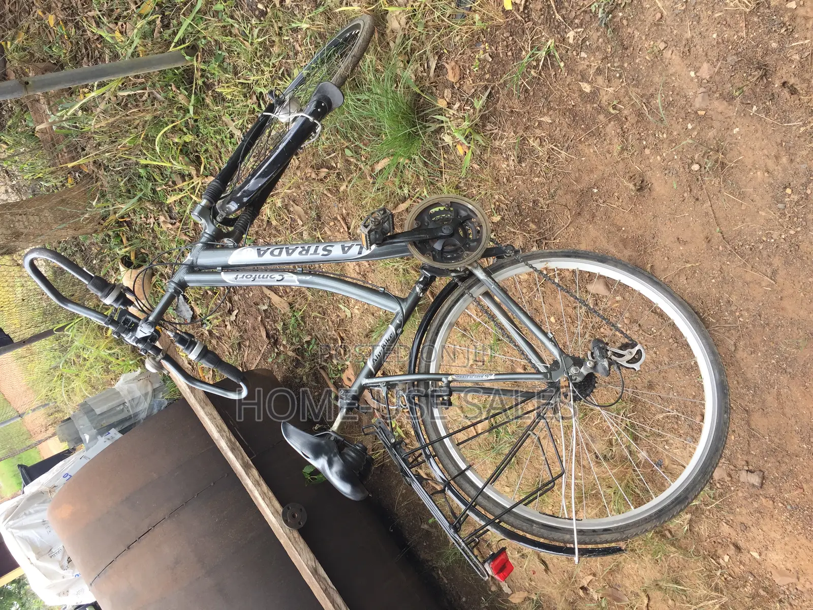 Adult Bicycle