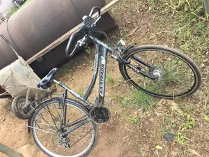 Adult Bicycle