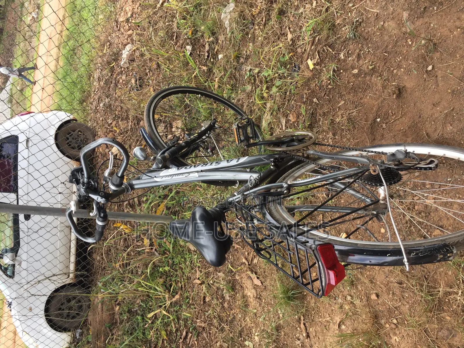 Adult Bicycle