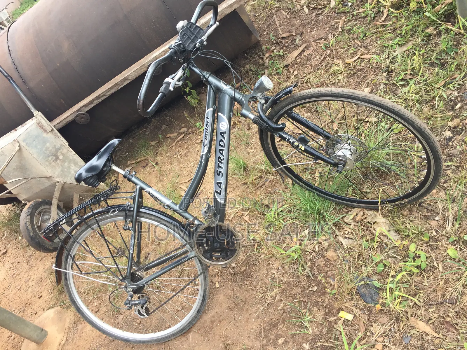 Adult Bicycle