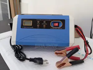 LCD Dynamic Display 10a Battery Charger