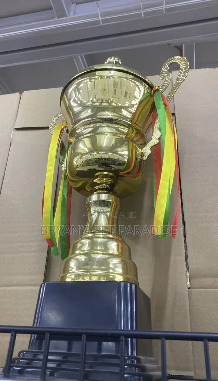 Football Trophies