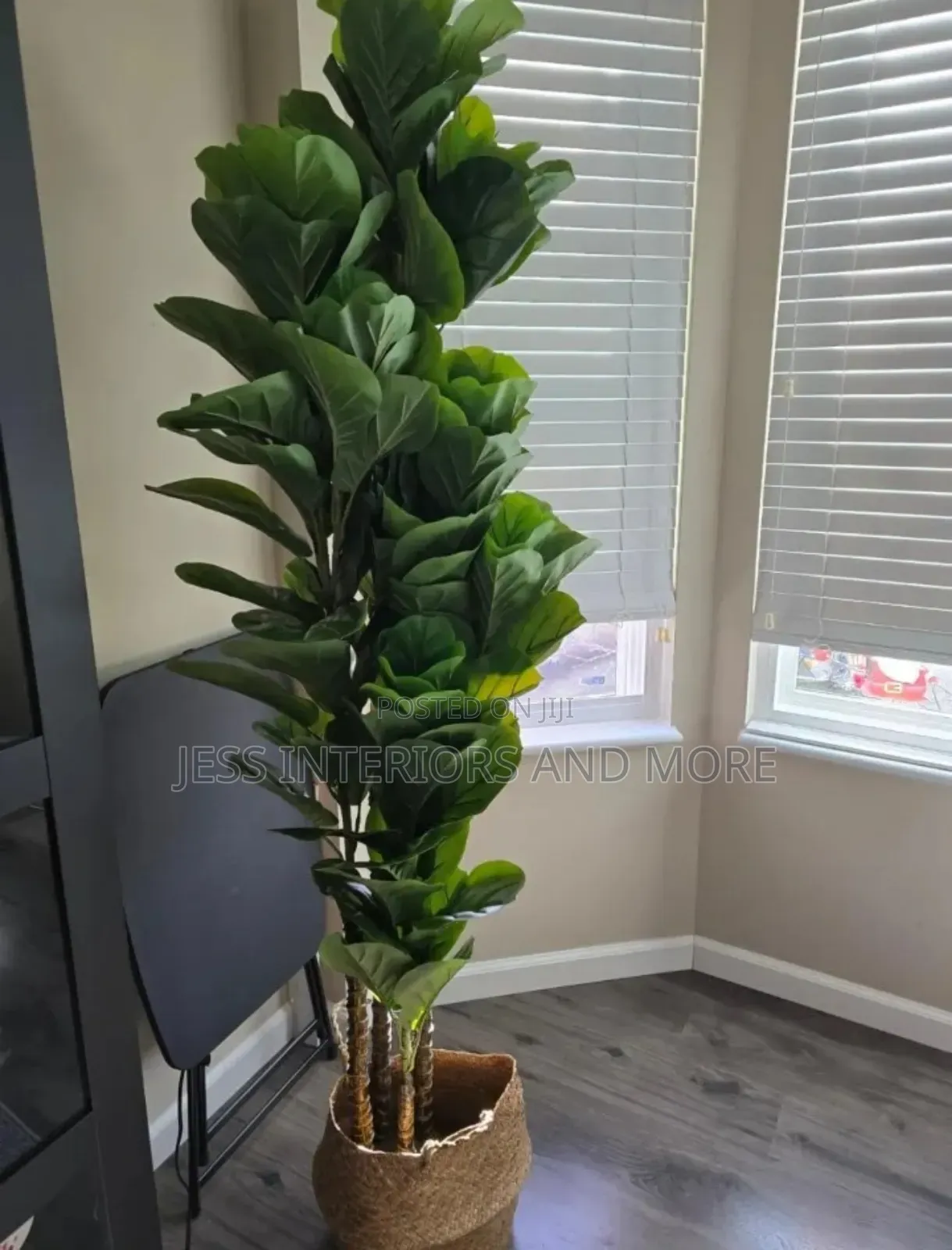 Artificial Plant (Fiddle Tree)180cm